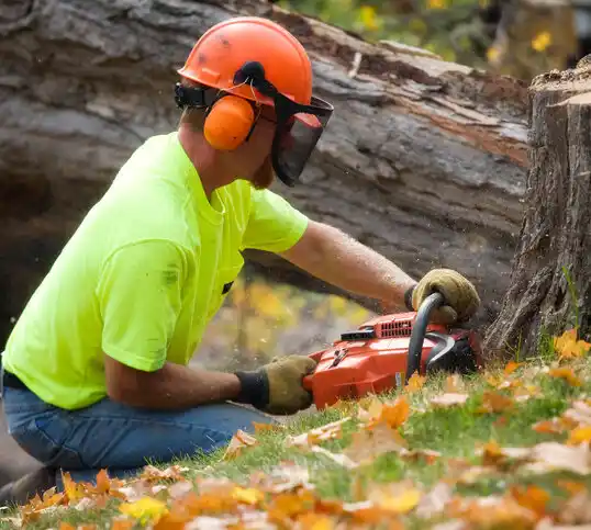 tree services Melvindale